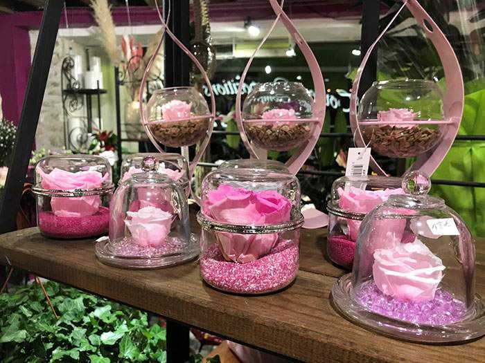 De belles roses à offrir à un être cher